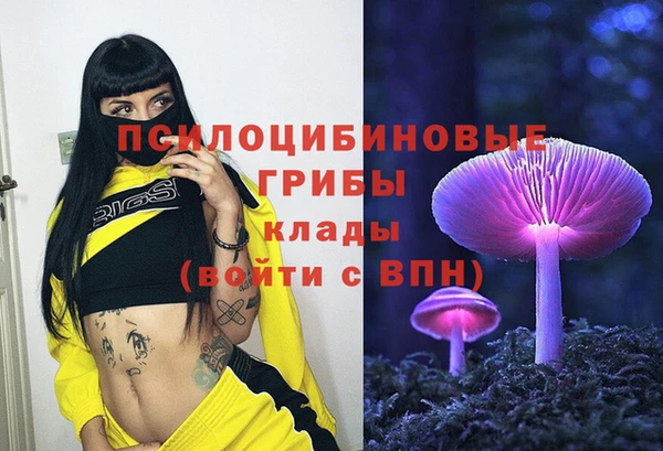 стаф Алзамай