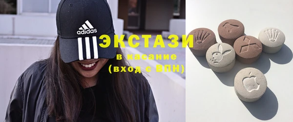 стаф Алзамай