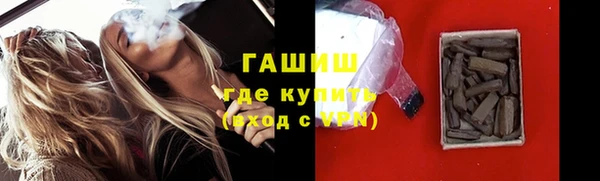 стаф Алзамай