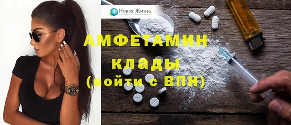 стаф Алзамай