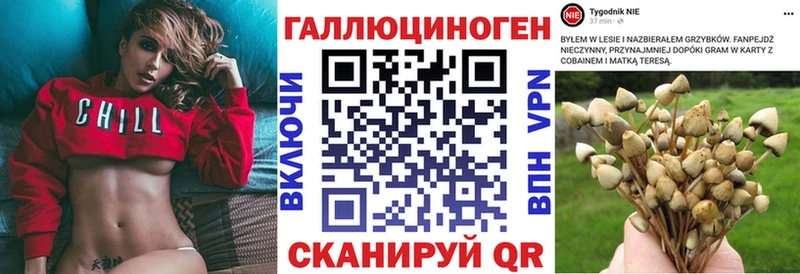 Галлюциногенные грибы мицелий даркнет клад Бокситогорск
